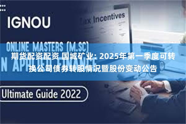 期货配资配资 国城矿业: 2025年第一季度可转换公司债券转股情况暨股份变动公告
