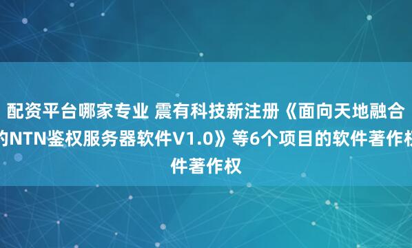 配资平台哪家专业 震有科技新注册《面向天地融合的NTN鉴权服务器软件V1.0》等6个项目的软件著作权