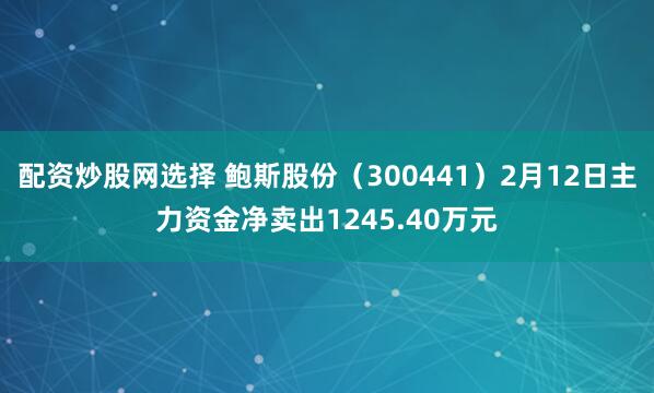 配资炒股网选择 鲍斯股份（300441）2月12日主力资金净卖出1245.40万元