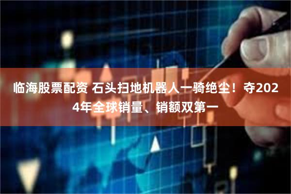 临海股票配资 石头扫地机器人一骑绝尘！夺2024年全球销量、销额双第一