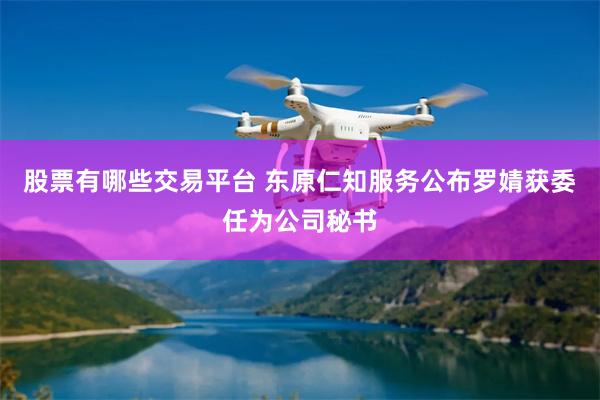 股票有哪些交易平台 东原仁知服务公布罗婧获委任为公司秘书