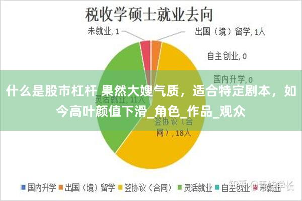 什么是股市杠杆 果然大嫂气质，适合特定剧本，如今高叶颜值下滑_角色_作品_观众