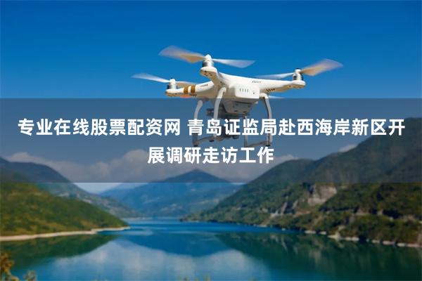 专业在线股票配资网 青岛证监局赴西海岸新区开展调研走访工作