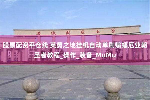 股票配资平仓线 英勇之地挂机自动单刷蝙蝠厄业朝圣者教程_操作_装备_MuMu
