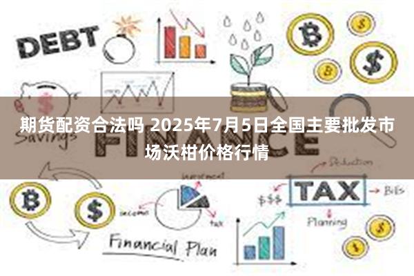 期货配资合法吗 2025年7月5日全国主要批发市场沃柑价格行情