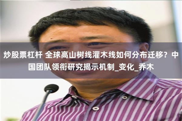 炒股票杠杆 全球高山树线灌木线如何分布迁移？中国团队领衔研究揭示机制_变化_乔木