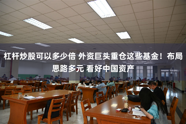 杠杆炒股可以多少倍 外资巨头重仓这些基金！布局思路多元 看好中国资产