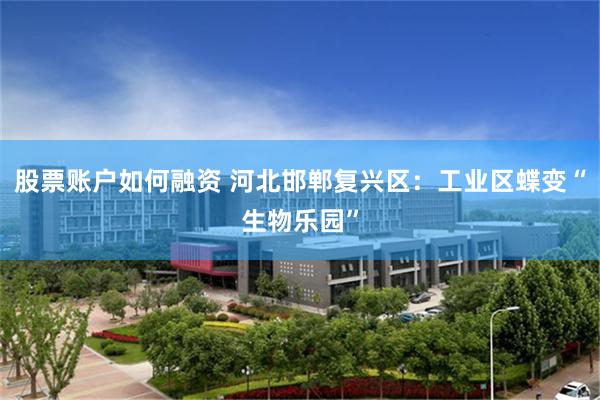 股票账户如何融资 河北邯郸复兴区：工业区蝶变“生物乐园”